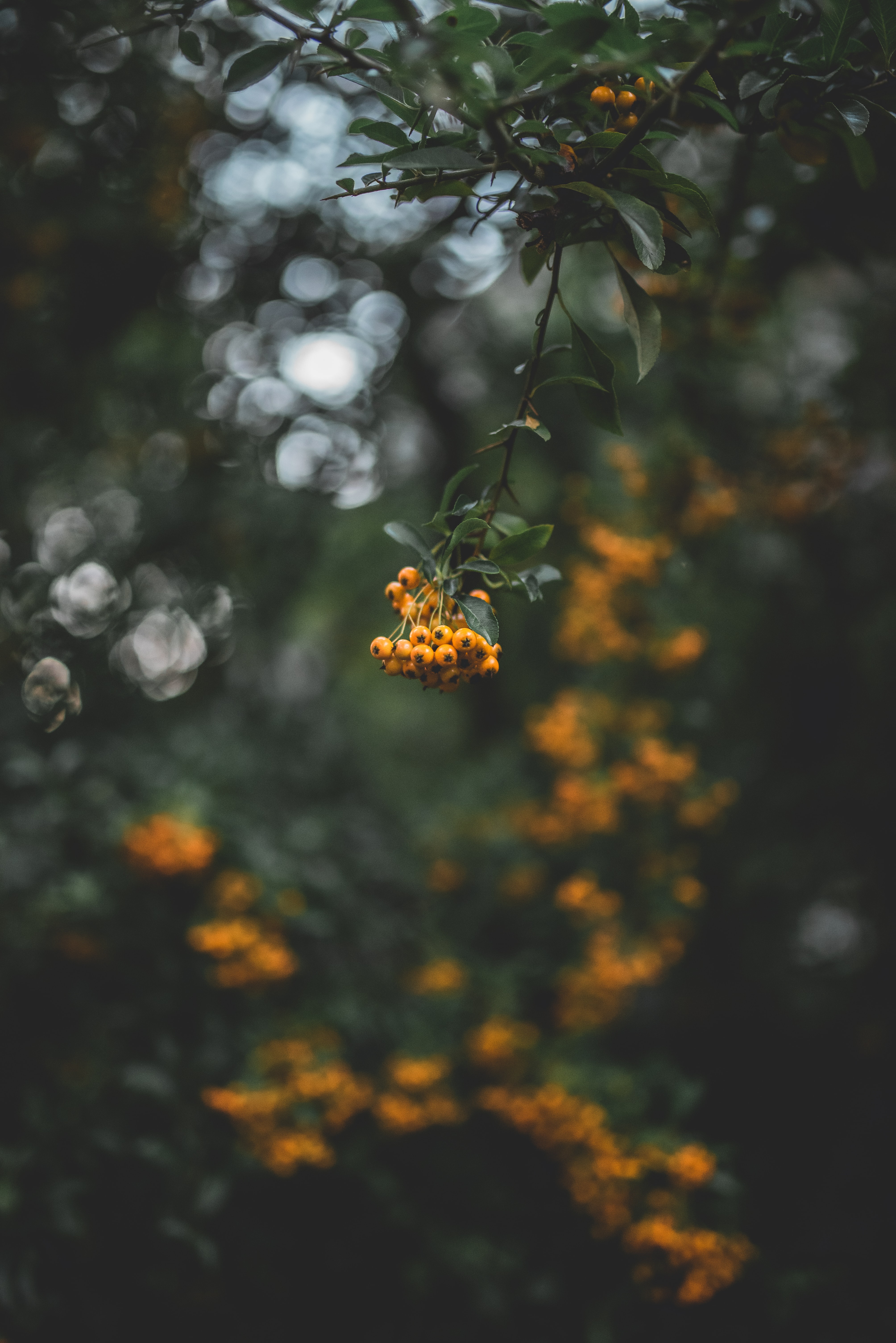 milosz-klinowski-fRVKDYX-0rY-unsplash.jpeg