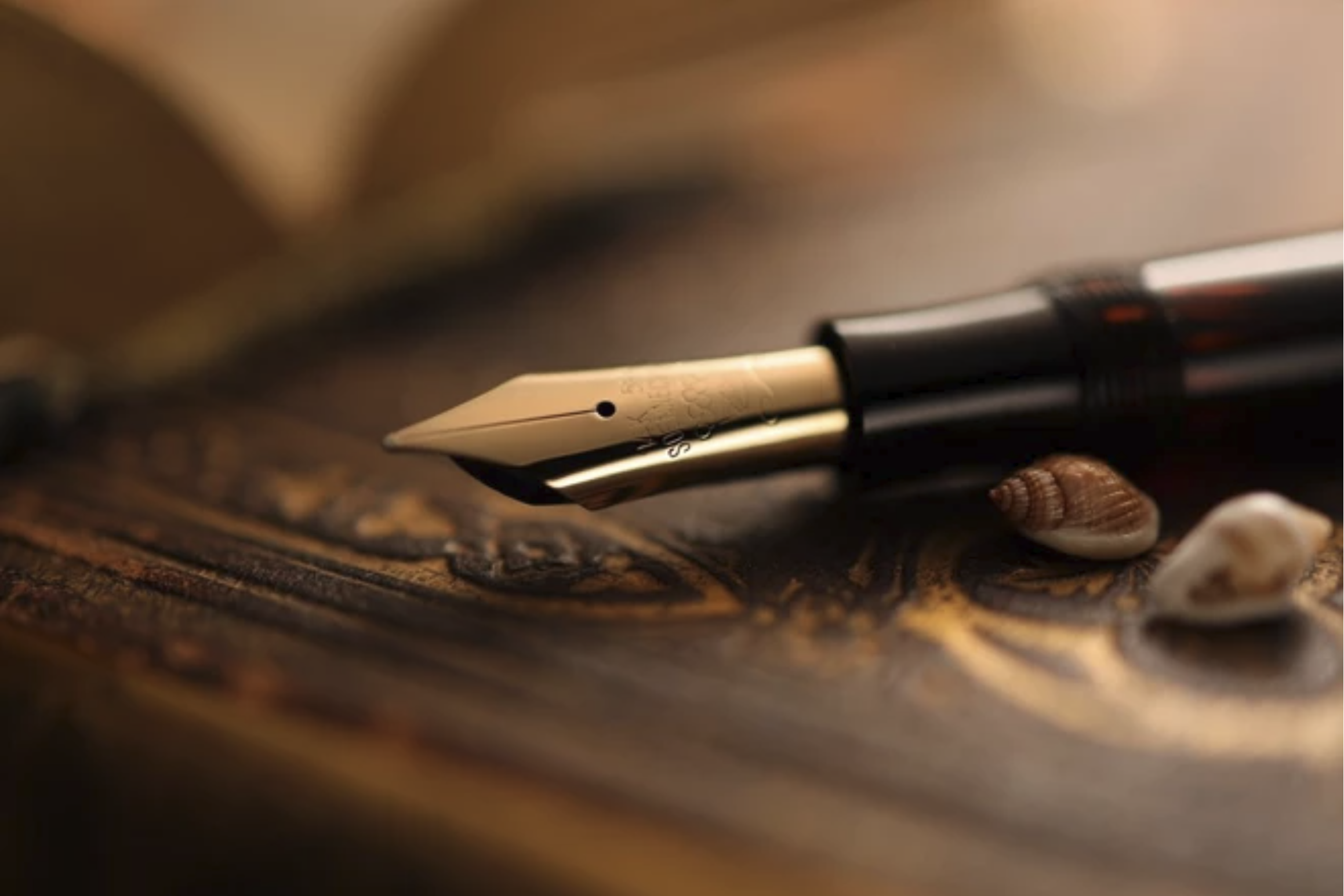 Screenshot 2024-01-09 at 12.02.07.png