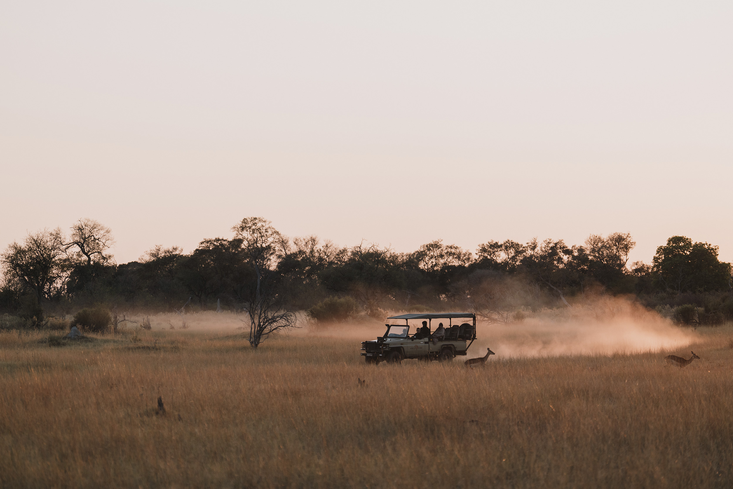 a-jeep-driving-across-a-field-kicking-up-dust.jpg
